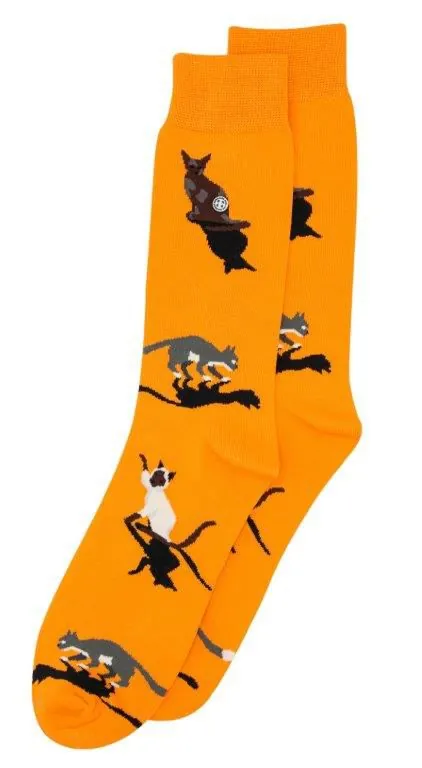 Alfredo Gonzales Sokken Cats Oranje