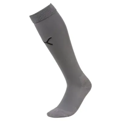 PUMA Unisex Team LIGA Voetbalsokken Grijs